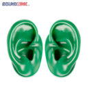 green-silicon-ear-model